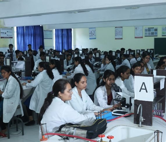 Untitled design (46)