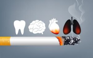 WhatsApp Image 2025-11-22 at 15.55.32_98570b6d